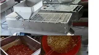 Peanut Peeling Machine(Dry Model) |peanut skin peeling machine|peanut skin removal machine