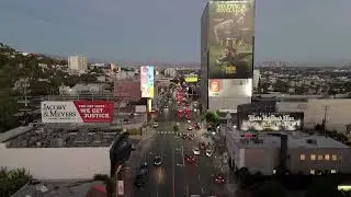 OPNEX Forex Trading Brand Film Night City Billboard Moment and Pro Trading Vibe