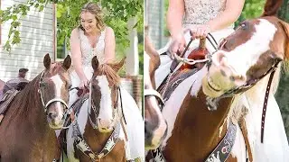 Bride's Family Horse Grins Big Before Helping Her Down The Aisle