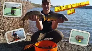 РЫБАЛКА на КАРПА в апреле. Капризные весенние карпы. Мини-бойлы слива рулят!