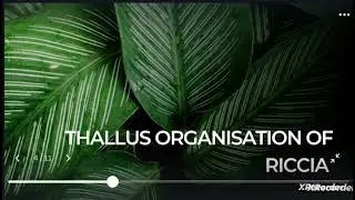 Bryophytes:- Riccia ( Thallus Structure) Bsc. Botany .PART 1.