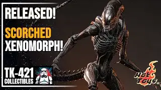 Hot Toys Scorched Xenomorph RELEASED! Alien: Romulus Blogger Pics Reaction