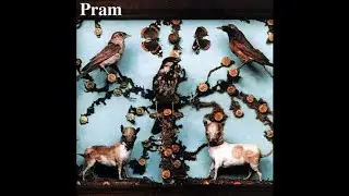 Pram - The Museum Of Imaginary Animals - Cat's Cradle