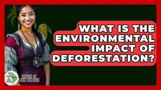 What Is The Environmental Impact Of Deforestation? - History Of Latin Cultures