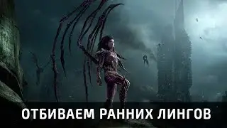 ZvZ: отбиваем ранних лингов, а затем Нидус