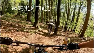 MTB Vodemla trails (Velenje)