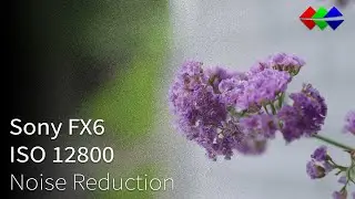 Sony FX6 ISO 12800 Denoise (DaVinci Resolve Studio)