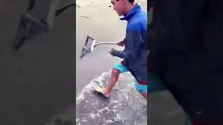 Watch til end Venice fl.                 Shark tooth nation