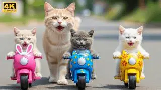 This Mama Cat&rsquo;s Farm Secret 😱 | The Cutest Tiger Hats Ever 🐾🐯