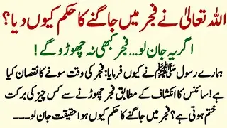 Allah ne Fajar Main Jaagne ka Hukam Kiu Diya Hai Science Daano ki Baatein Nabi ke Waqiat