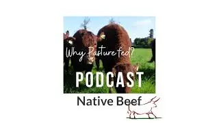 Lucy meets Jonathan Chapman, Native Beef