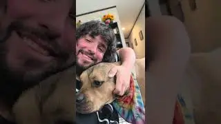 Милые котята