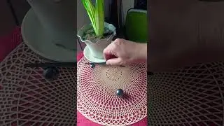MAGNETIC STICKS & BALLS🧲 #shorts #magnet #sticks #wow #amazing #satisfying #playing #marvelousvlog25