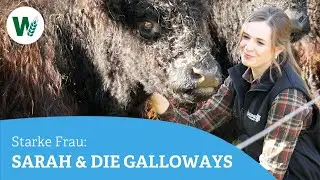 Galloways, Jagd und Verantwortung: Sarah Baumgartners Leben am Gänsberg im Bayerischen Wald