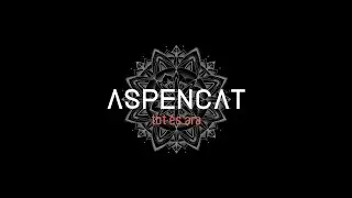 ASPENCAT - Fent equilibris