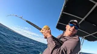 BIG FISH ON THE RUGGED ZUYTDORP CLIFFS