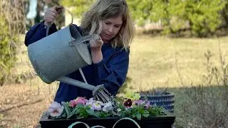 Colorful Spring Arrangements | Gardening in Charleston Style Window Boxes 🌈🌸 //MAIN ST GARDENER