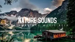 Nature Sounds & Soft Music 🌿 Deep Relaxation and Sleep