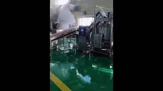 Dehydrated vegetable process