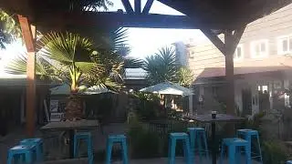 Wild Animal Confrontation
