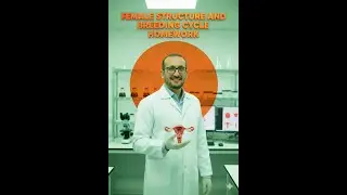 FEMALE STRUCTURE AND MENSTRUAL CYCLE 2026
