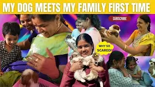 ✨Our Dog Meets Our Family For First Time✨ Mixed Reactions | Gowti Sowbi❤️❤️❤️