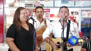 MI LENGUAJE MUSICAL/ LEO SALCEDO REY VALLENATO 20018