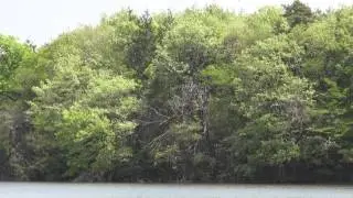 Hebinuma Pond, 蛇沼