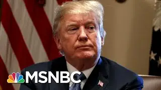 How Americans View Of Foreign Influence On U.S. Politics | Morning Joe | MSNBC