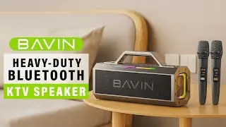 BAVIN BM26 Outdoor Bluetooth Speaker Splash-Proof & Durable with 2 Wireless Microphones