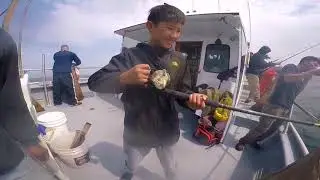 Ankeny Street Sport Fishing Charter @ Half Moon Bay Huge Vermilion Lingcod Rock Cod