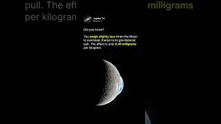 The Moon Affects Your Weight! 🌕⚖️