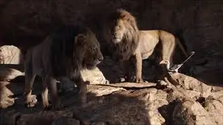 Scrar y Mufasa se discuten