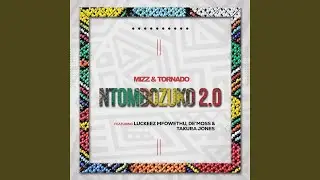 Ntombozuko 2.0