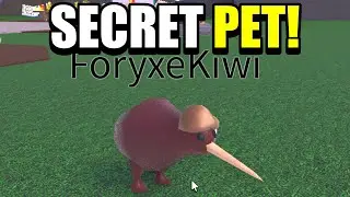 Новый СЕКРЕТНЫЙ ПИТОМЕЦ РАЗРАБОТЧИКА в WACKY WIZARDS! (Roblox)