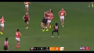 Leek Aleer Highlights