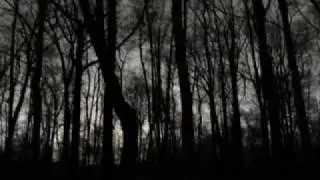 The Dark Forest - Story 1