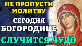 17 января НЕ ПРОПУСТИ МОЛИТВУ БОГОРОДИЦЕ! СЛУЧИТСЯ ЧУДО! Молитва покаяния и прощения. Православие.