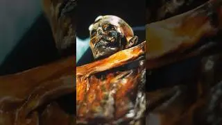 The hidden truths of OTZI the Iceman