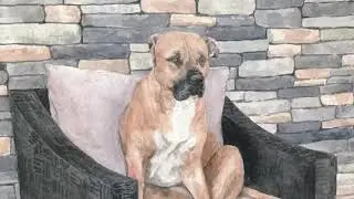 Sitting Dog Watercolor Time-lapse