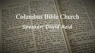 Why is the Gospel of John so different from the Synoptic Gospels?