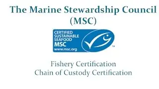 MSC-Third Party Certification