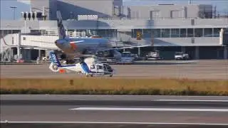 JA64NH [ANH] Eurocopter AS365N2 Dauphin2 Taxi to Spot RJOT