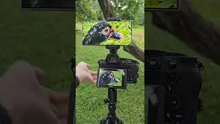 Samsung Galaxy S24 Ultra Vs Nikon Z5 Zoom Test | S24 Ultra Vs DSLR #samsung #nikon #cameratest #tech