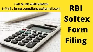 Softex form for non stpi units | Call @ 9582796969