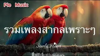 💞เพลงรักหวานละมุน🌹รวมเพลงสากลเพราะๆ💫เสียงหัวใจที่เรียกหา