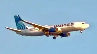 a United 737-800 landing at KGTF as a diversion *N76505* KDEN - KGPI (diverted to KGTF)