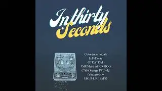 Colortone Pedals Lo Fi Delay #in30seconds_lep #colortonepedals