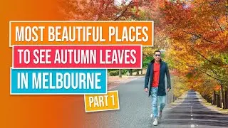 MOST BEAUTIFUL PLACES TO SEE AUTUMN LEAVES IN MELBOURNE | Mount Macedon | Shoestring Traveller