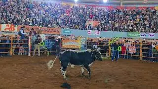 Jaripeo de lujo Gr@tis en #Moroleon 